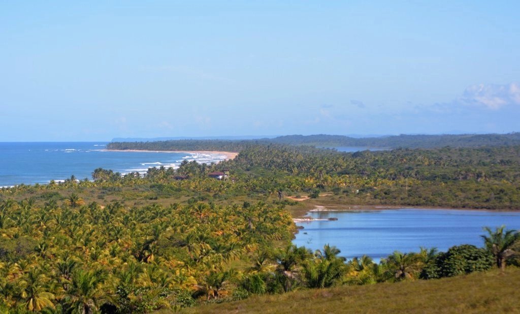 Maraú, Camamu, Brazil 1 - 10999893