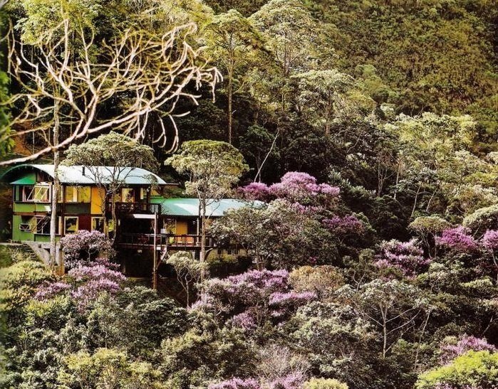 House in Petrópolis, State of Rio de Janeiro, Brazil 2 - 10449463
