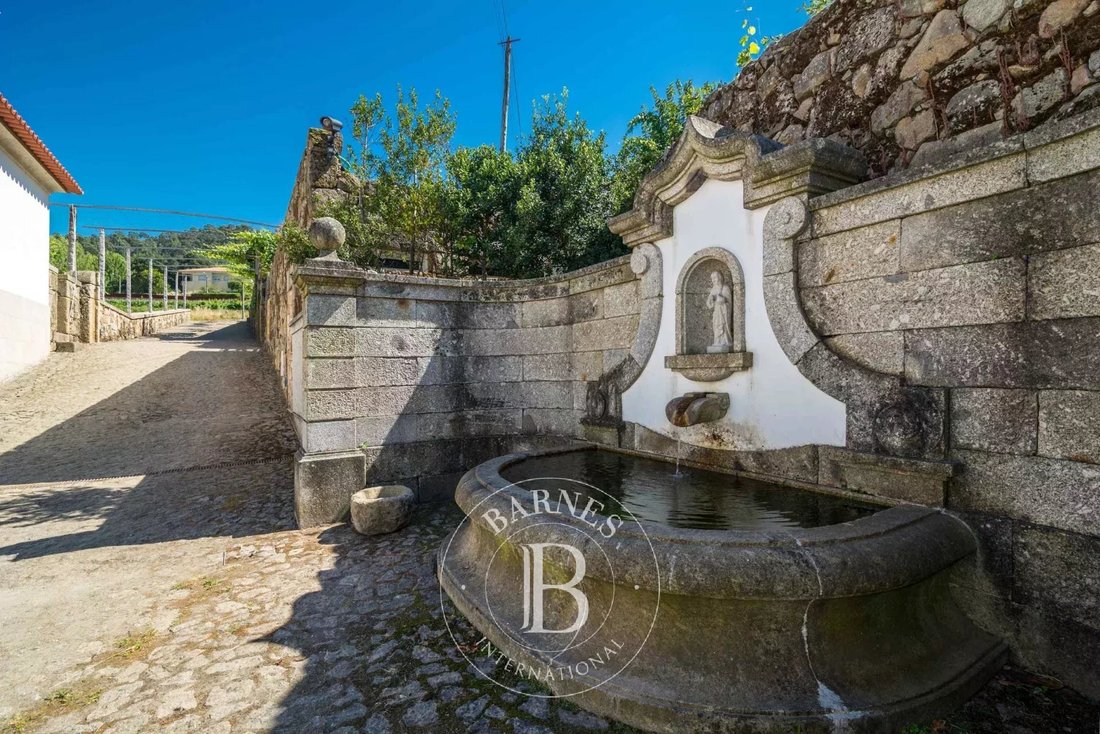 Farm Ranch in Roriz, Porto District, Portugal 5 - 14516769