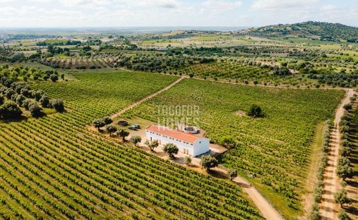 Vila de Frades, Distrito de Beja, Portugal 1