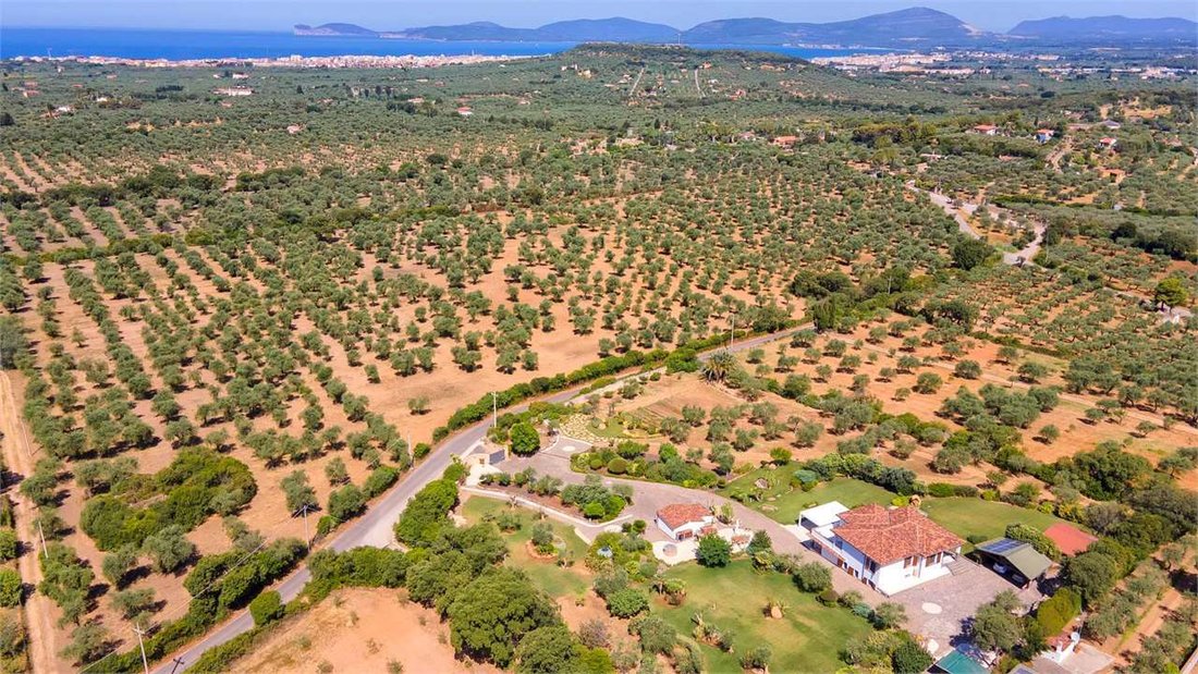 Villa in Carrabuffas - Monte Carru - Caragol, Alghero, Sardinia 5 - 15176317