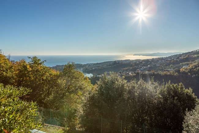 Villa in Center, Varazze, Liguria 5 - 15176267