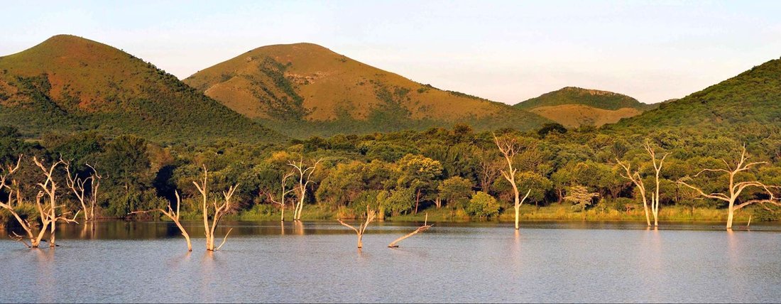 Farm Ranch in Malelane, Mpumalanga, South Africa 4 - 15178094
