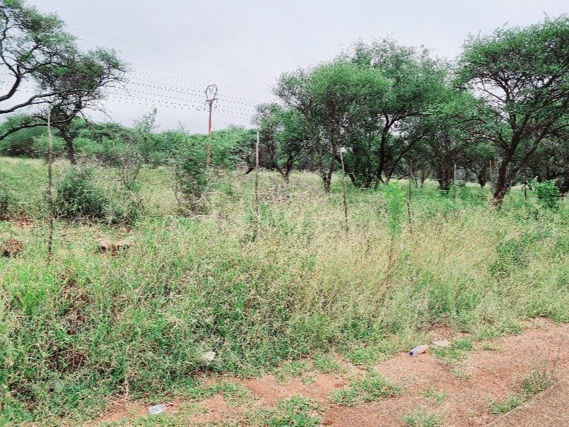 Land in Northam, Limpopo, South Africa 5 - 15178107