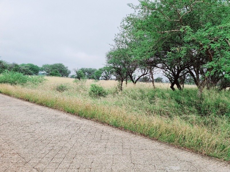 Land in Northam, Limpopo, South Africa 3 - 15178107