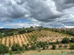 Land in Ferreira do Alentejo e Canhestros, Beja District, Portugal 3 - 15178827