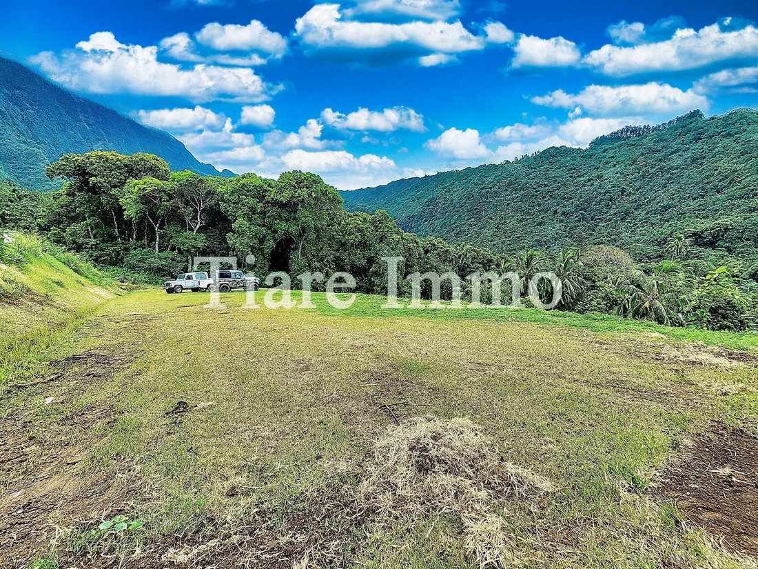 Land in Moorea-Maiao, Windward Islands, French Polynesia 4 - 15177936