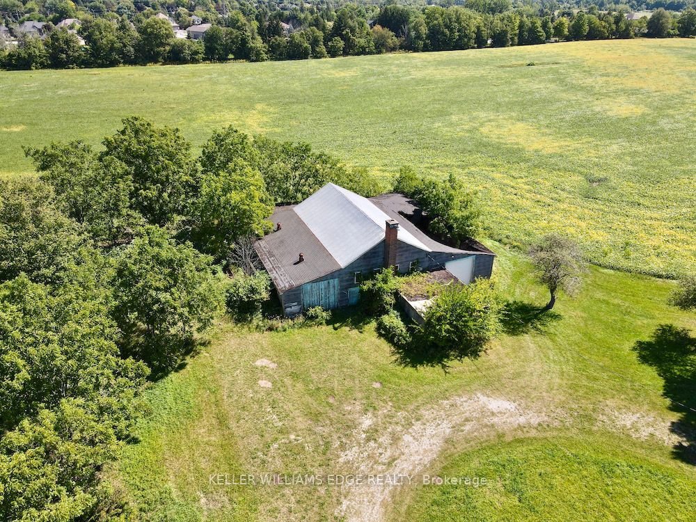 Farm Ranch in Hamilton, Ontario, Canada 4 - 15177126