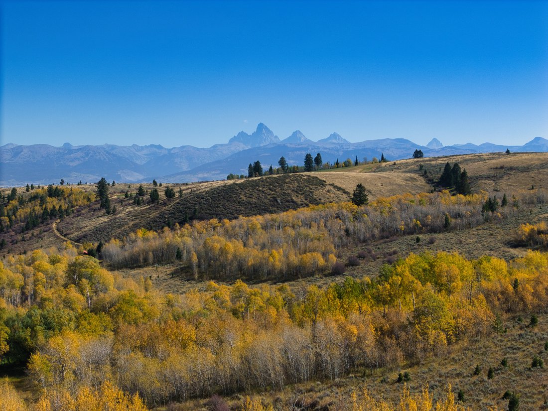 Farm Ranch in Driggs, Idaho, United States 1 - 14941738