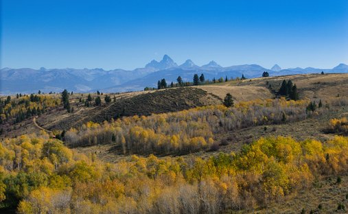 Farm Ranch in Driggs, Idaho, United States 1