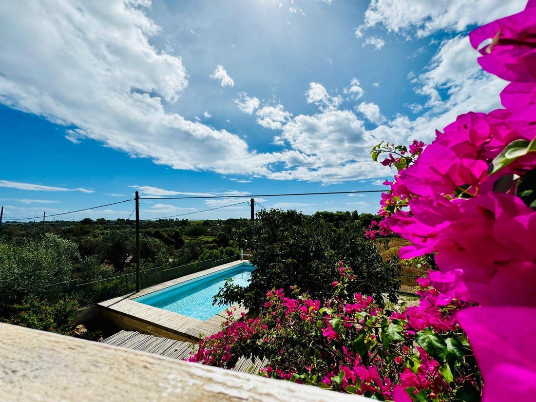 Villa a Ugento, Puglia, Italia 3 - 15176827