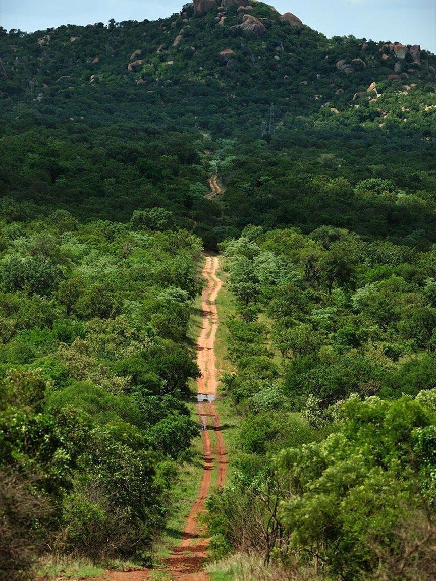 Farm Ranch in Malelane, Mpumalanga, South Africa 2 - 15178094