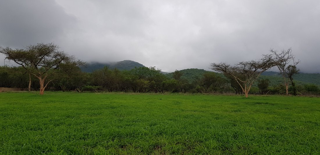 Farm Ranch in Malelane, Mpumalanga, South Africa 3 - 15178094