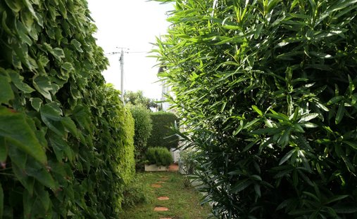 House in Sept Deniers-Ginestous, Toulouse, France 1