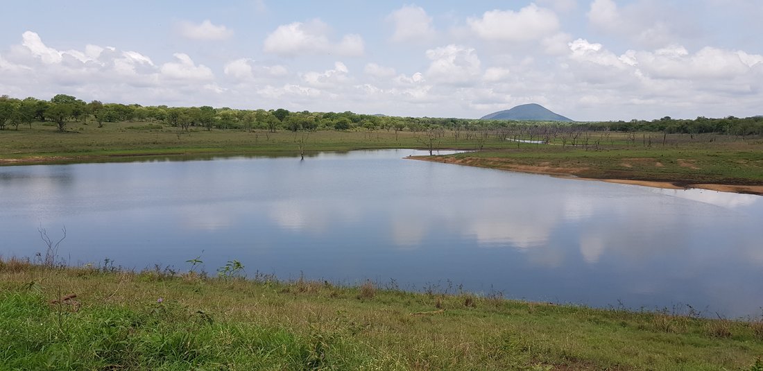 Farm Ranch in Malelane, Mpumalanga, South Africa 5 - 15178094