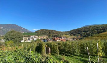 Apartment in Frangarto, Trentino-South Tyrol, Italy 2