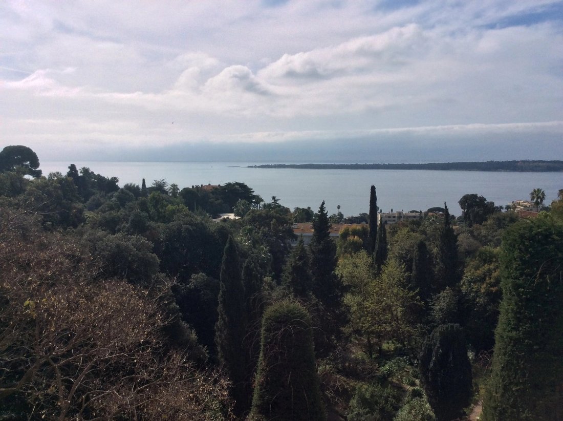 Apartment in La Californie, Cannes, France 2 - 12158917