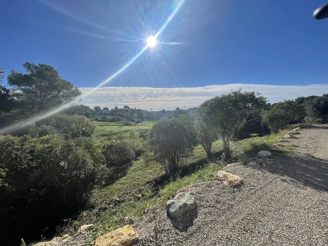 Land in Mougins, Provence-Alpes-Côte d'Azur, France 5 - 13813093