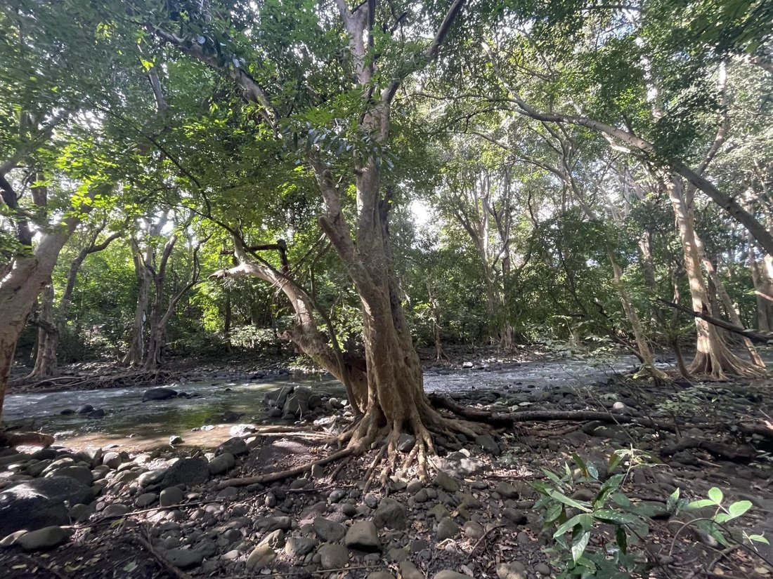Land in Tamarin, Rivière Noire District, Mauritius 4 - 13235580