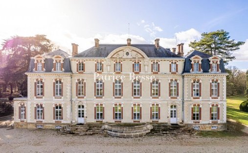 Chateau A Vendre Ile De France