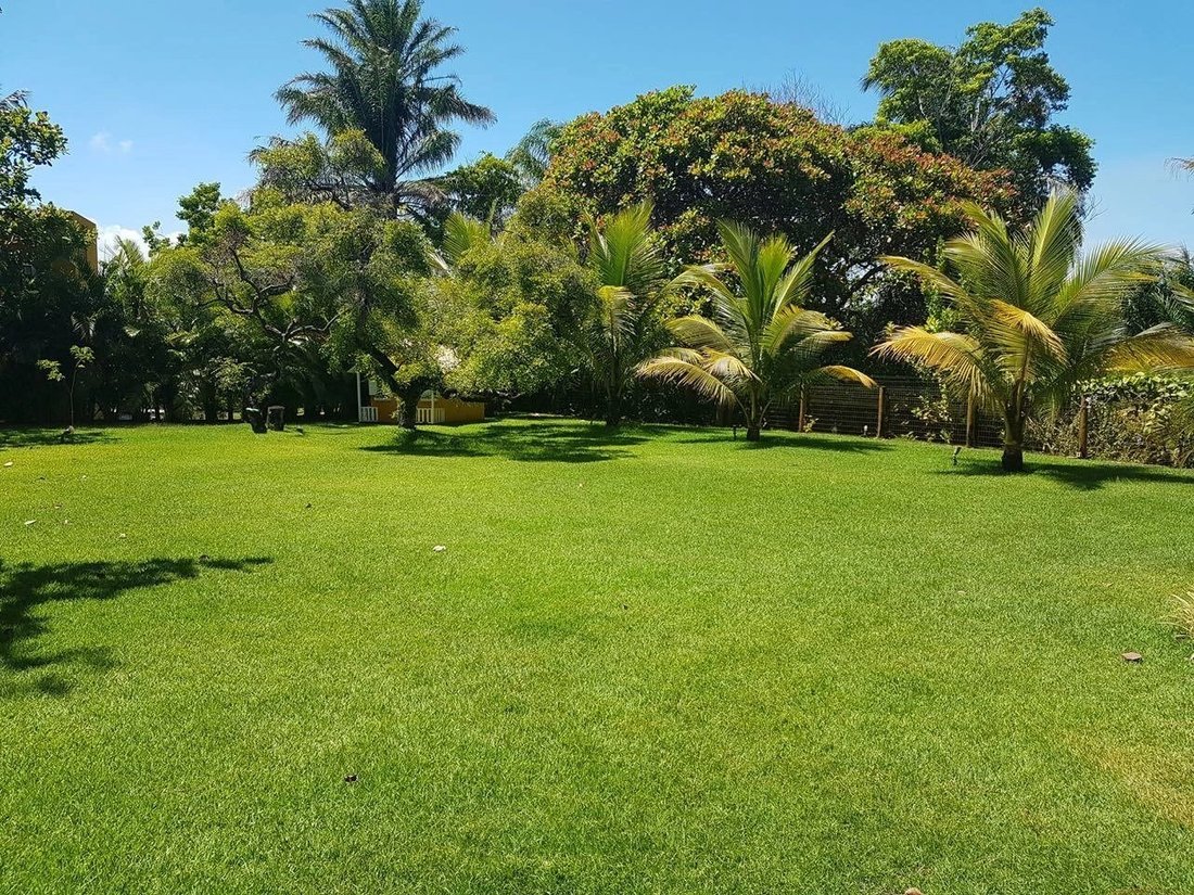Villa in Catu de Abrantes, State of Bahia, Brazil 4 - 10994878