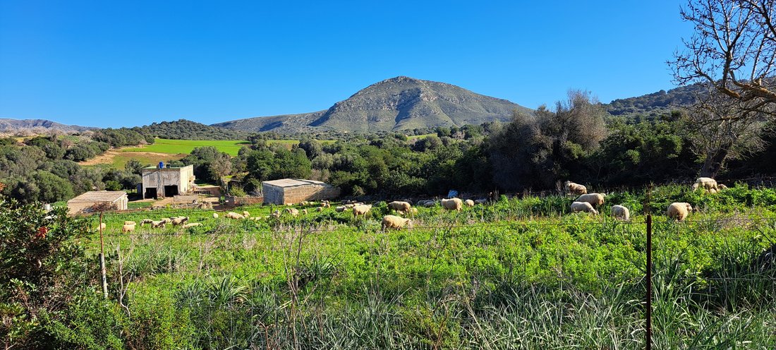 Farm Ranch in Sant Llorenc des Cardassar, Balearic Islands, Spain 1 - 15179026