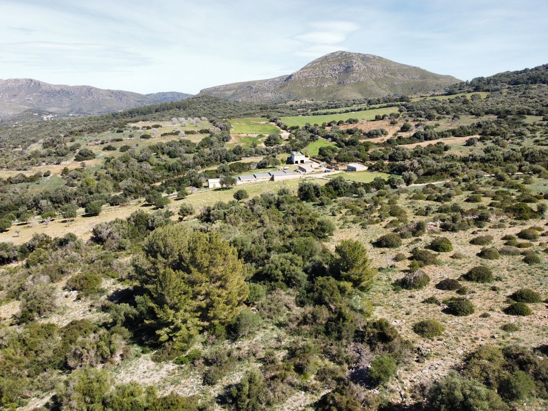 Farm Ranch in Sant Llorenc des Cardassar, Balearic Islands, Spain 3 - 15179026