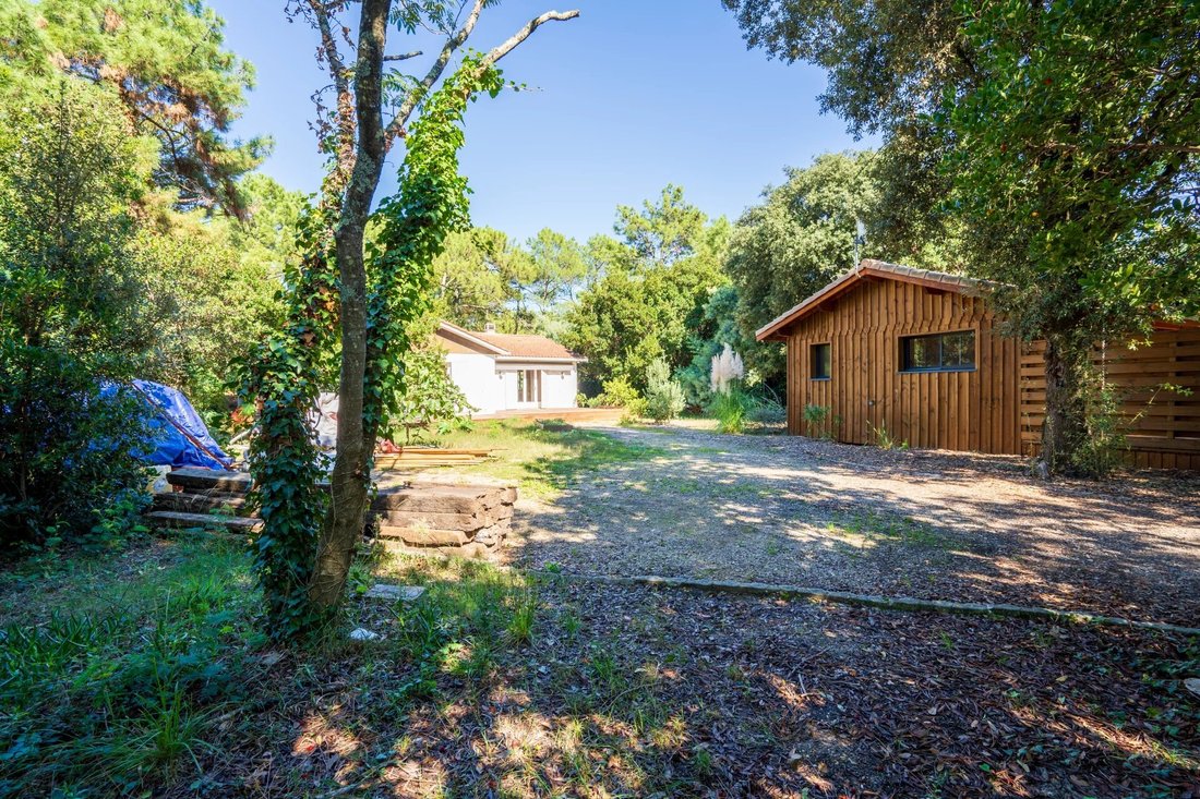 Villa in Centre Cap Ferret, Lège-Cap-Ferret, France 1 - 13482974