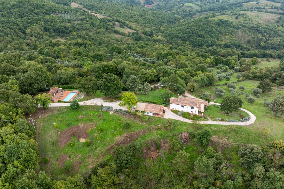 Farm Ranch in Center, Grosseto, Tuscany 3 - 15179594