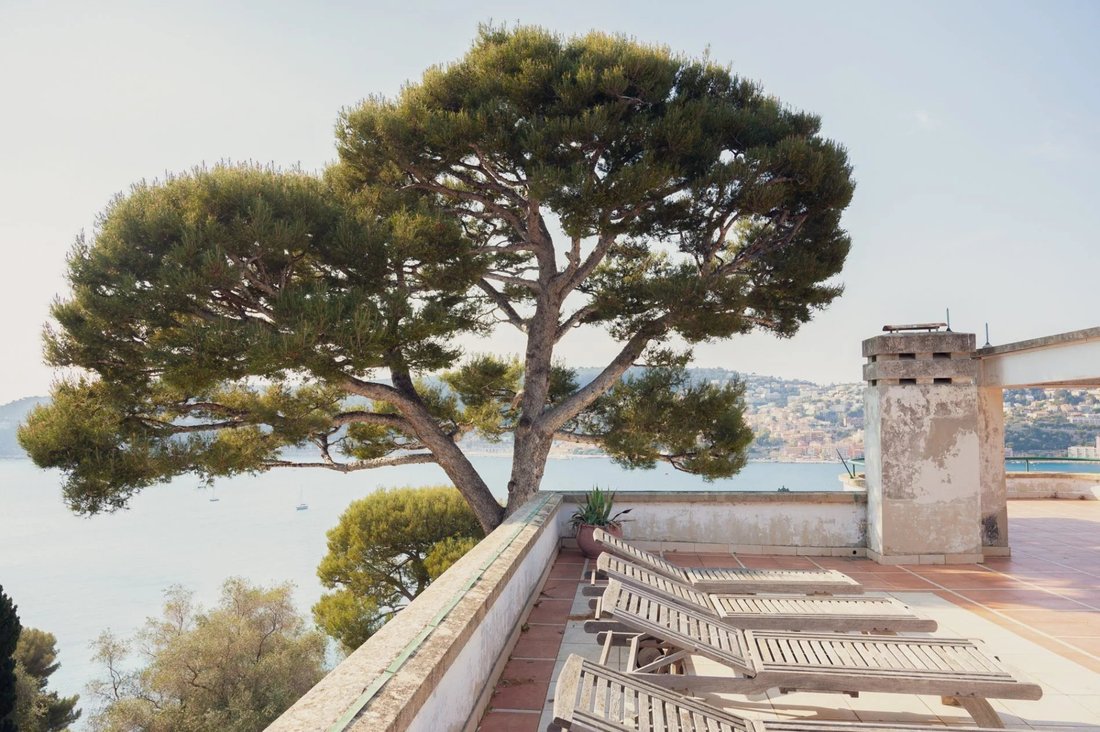 Villa in Saint-Jean-Cap-Ferrat, Provence-Alpes-Côte d'Azur, France 4 - 11890412