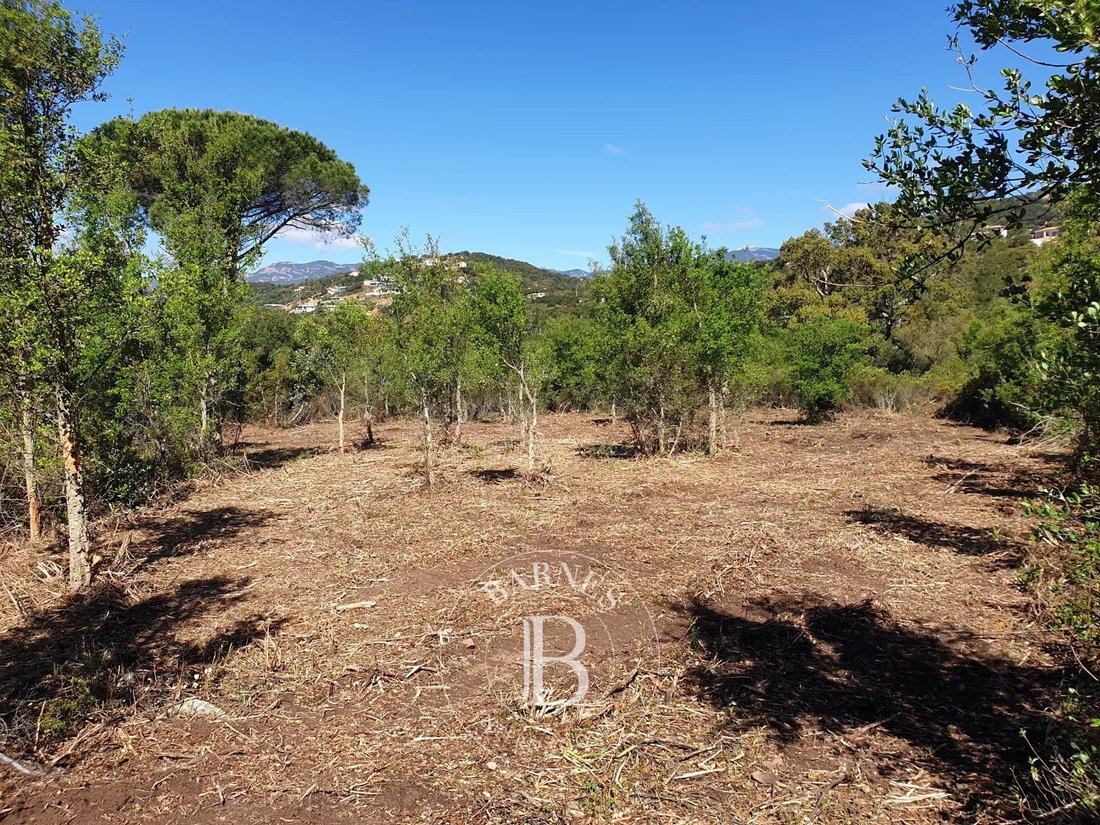 Land in Sainte-Lucie-de-Porto-Vecchio, Corsica, France 5 - 13746460