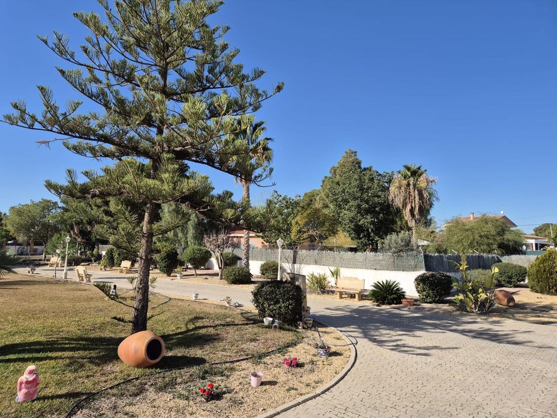 Villa a Sant Vicent del Raspeig, Comunità Valenzana, Spagna 2 - 15180584