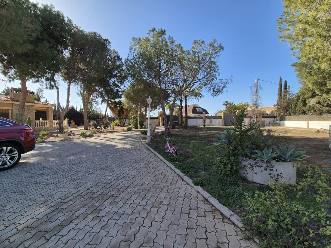 Villa a Sant Vicent del Raspeig, Comunità Valenzana, Spagna 1 - 15180584