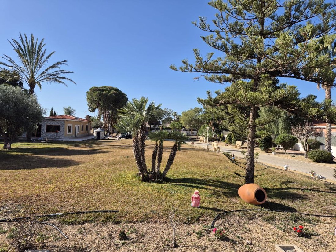 Villa a Sant Vicent del Raspeig, Comunità Valenzana, Spagna 3 - 15180584