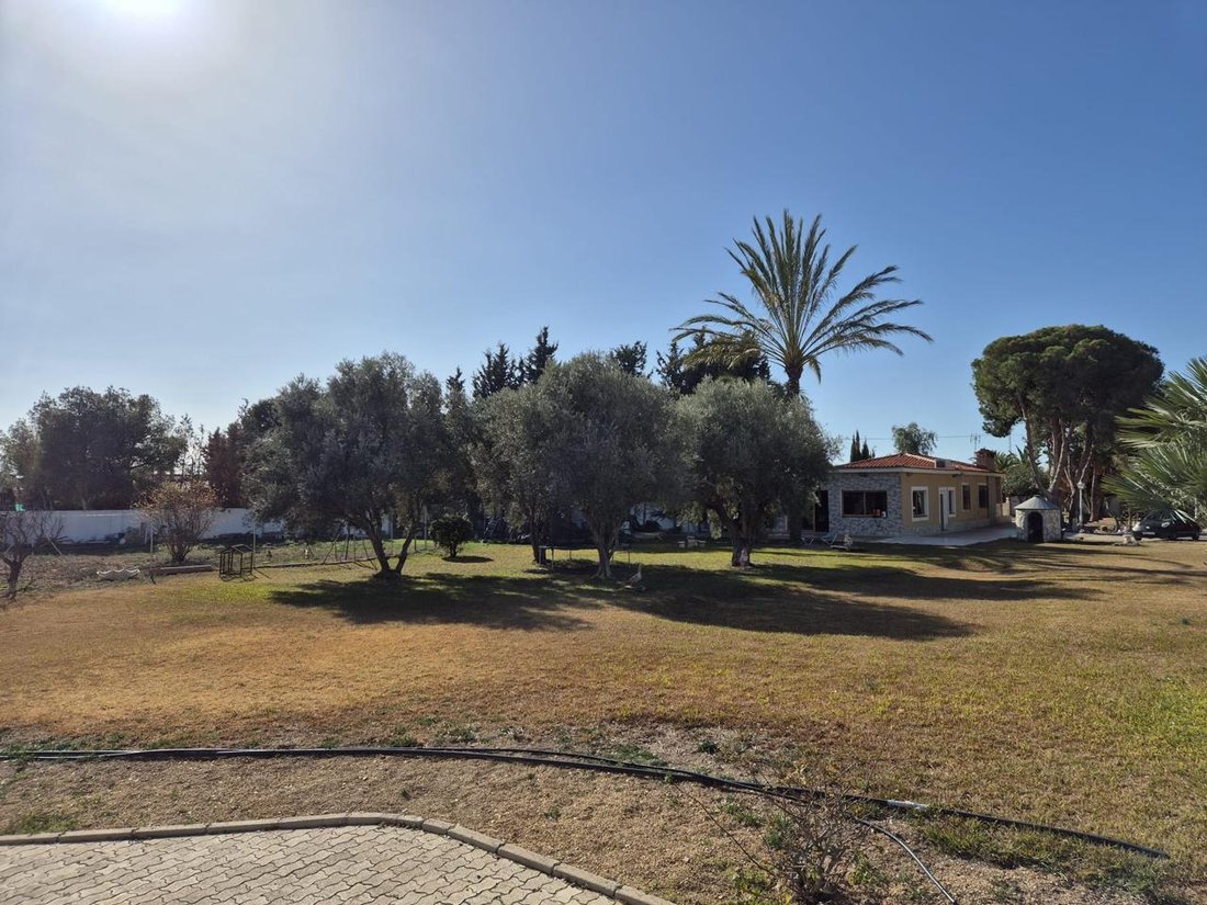 Villa a Sant Vicent del Raspeig, Comunità Valenzana, Spagna 5 - 15180584