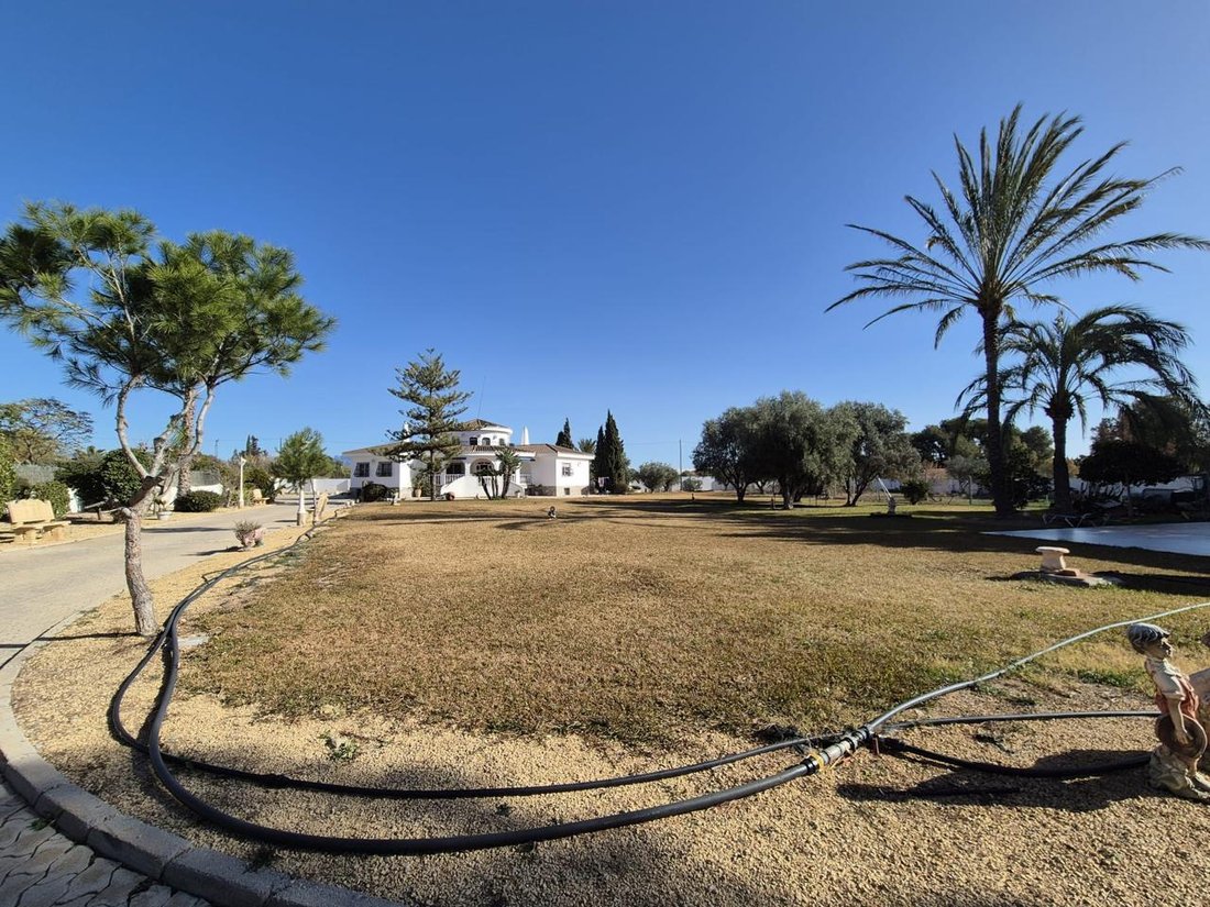 Villa a Sant Vicent del Raspeig, Comunità Valenzana, Spagna 4 - 15180584