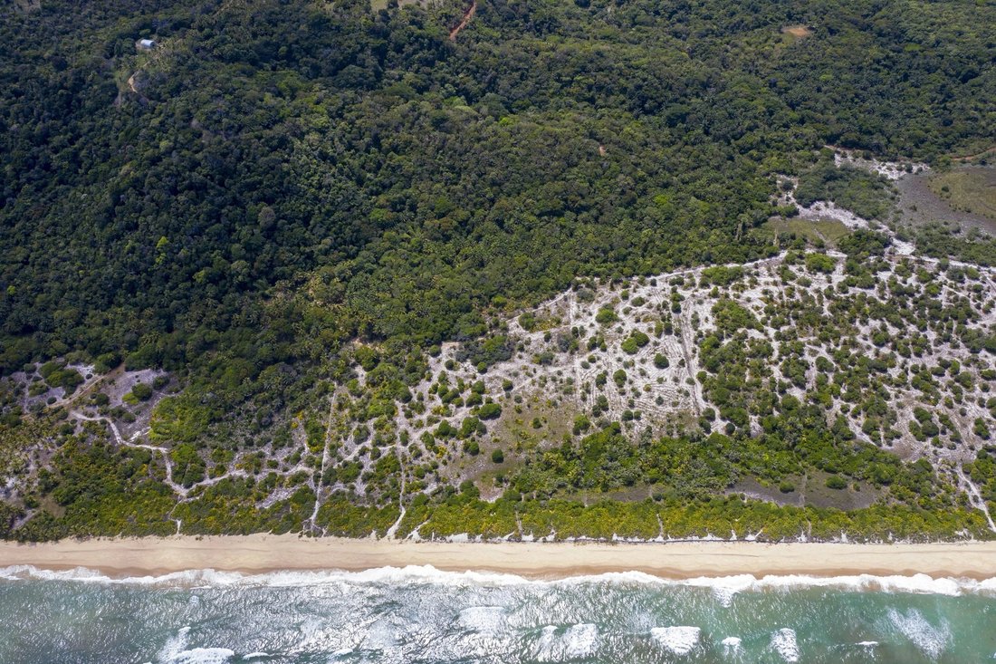 Land in Uruçuca, State of Bahia, Brazil 5 - 11100566