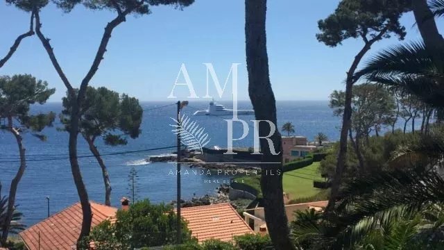 Villa in Antibes, Provence-Alpes-Côte d'Azur, France 5 - 11745171