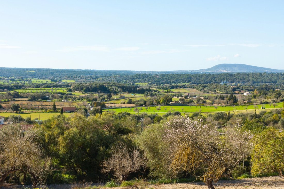 Land in Costitx, Balearic Islands, Spain 2 - 15180019