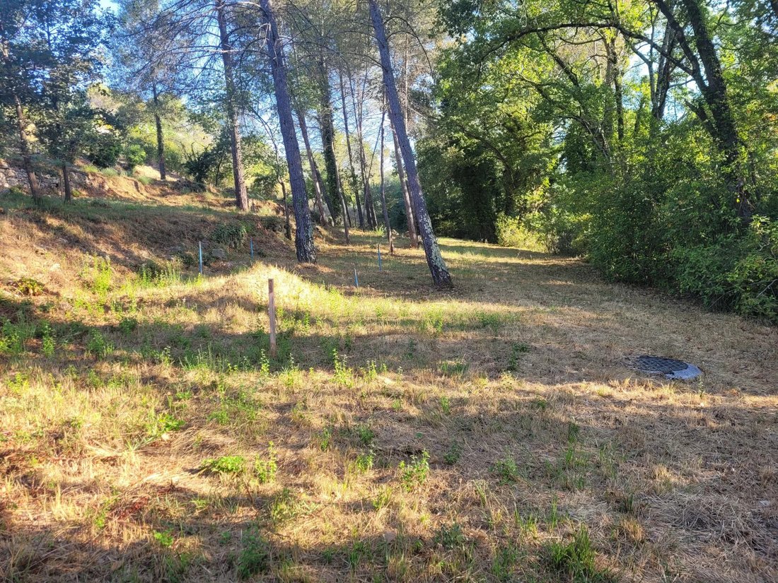 Land in Valbonne, Provence-Alpes-Côte d'Azur, France 4 - 14593101