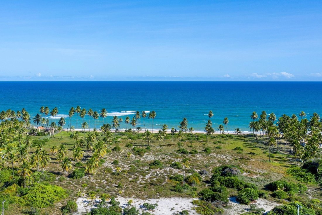 Land in Encantamento, State of Bahia, Brazil 1 - 11037959
