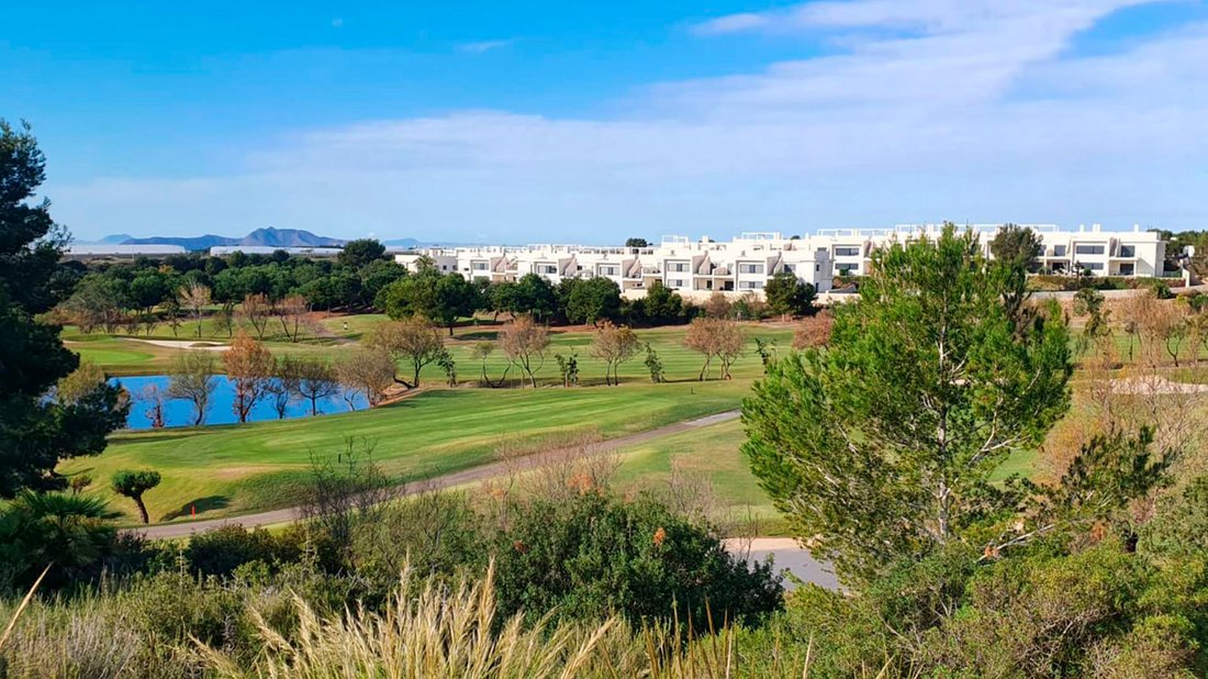 Villa in Pilar de la Horadada, Valencian Community, Spain 2 - 12482683
