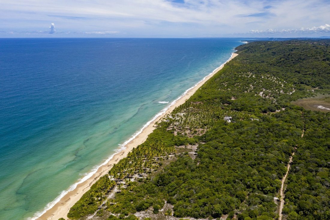 Land in Uruçuca, State of Bahia, Brazil 3 - 11100566