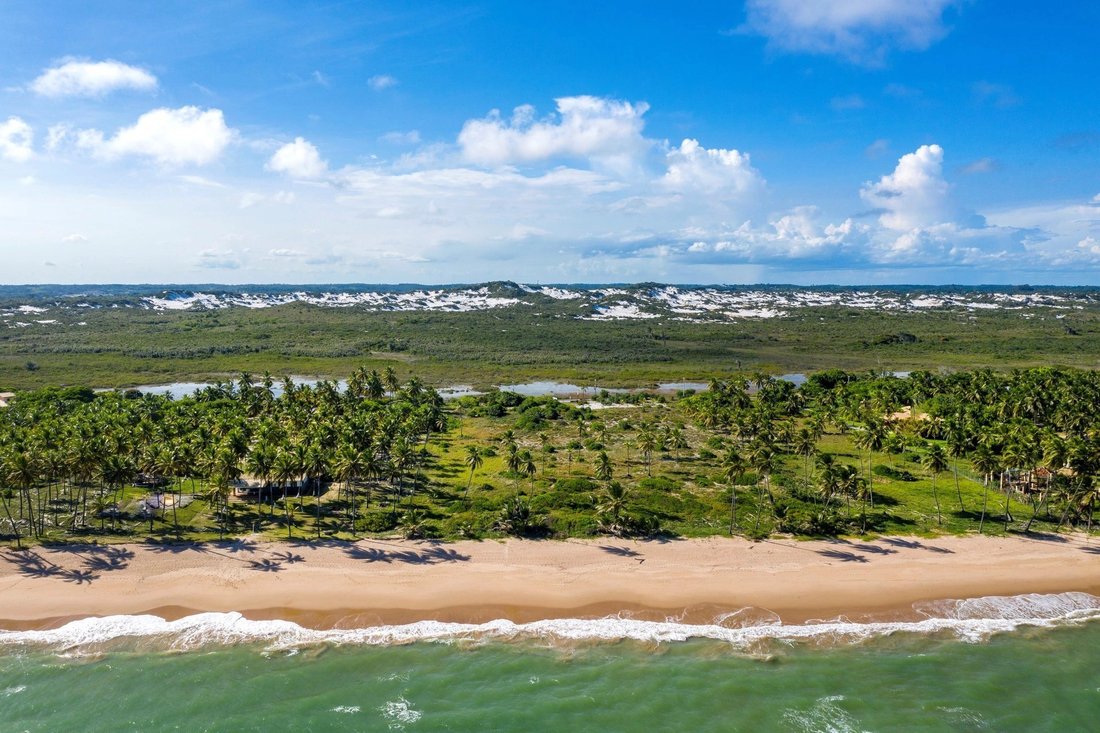 Land in Encantamento, State of Bahia, Brazil 5 - 11037959