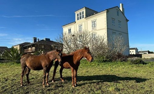 Country House in Tapia de Casariego, Asturias, Spain 1