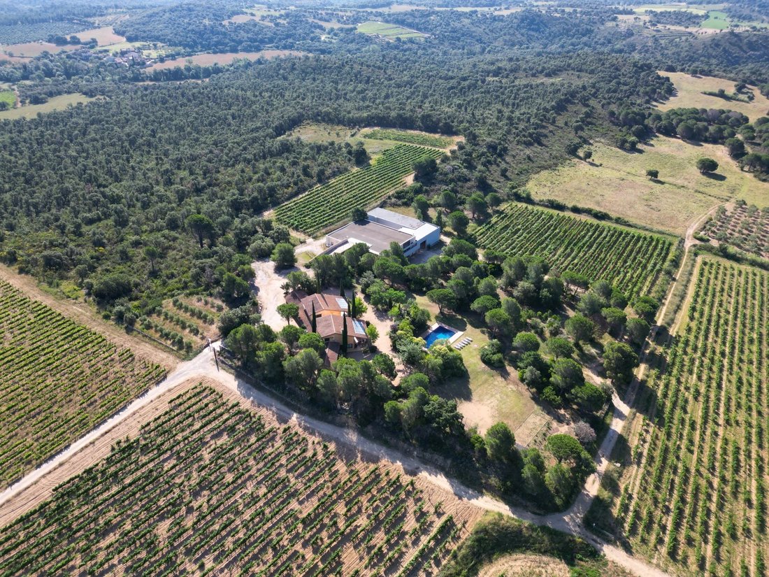 Country House in Capmany, Catalonia, Spain 3 - 14471552