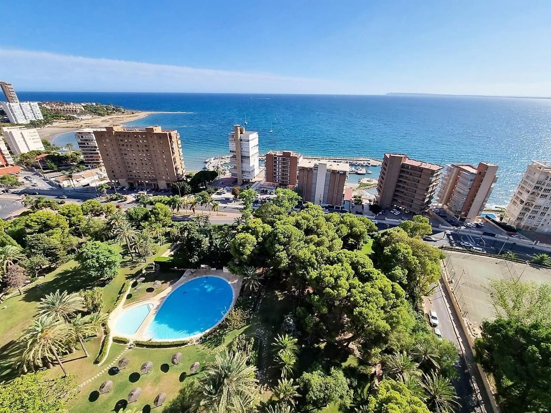 Apartment in Alicante, Valencian Community, Spain 1 - 12417155