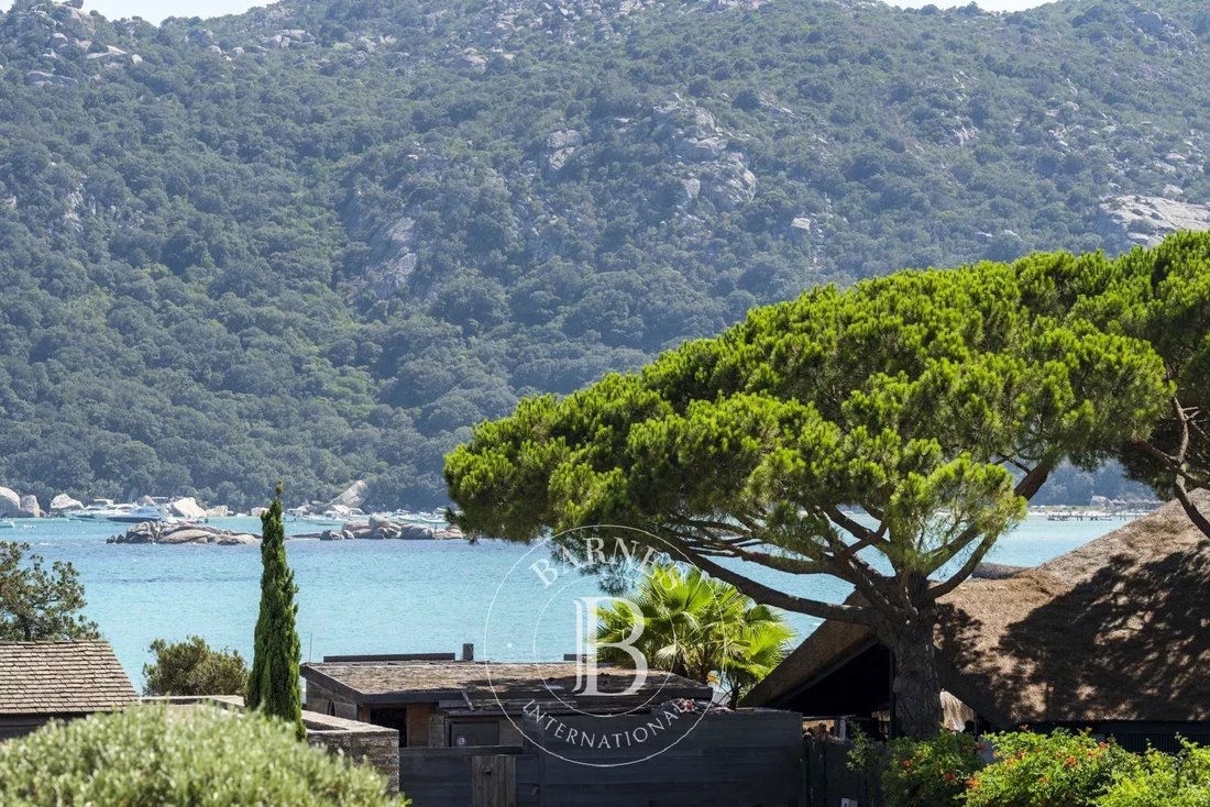 Villa in Porto-Vecchio, Corsica, France 1 - 14658150