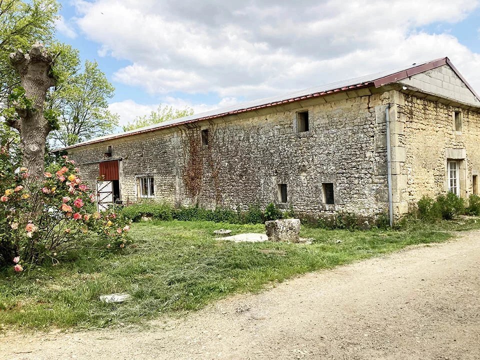 Country House in Mortagne-sur-Gironde, Nouvelle-Aquitaine, France 2 - 12958341