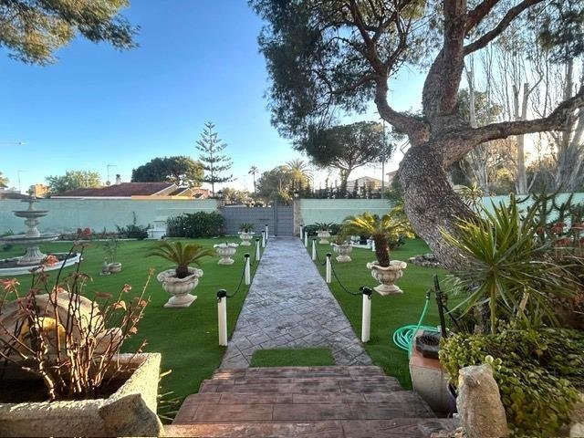 Villa in Dehesa de Campoamor, Orihuela, Valencian Community 3 - 15181909